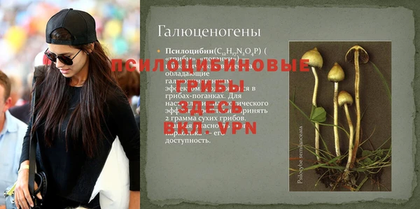 спиды Балахна
